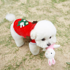 Christmas Pet Santa Costume