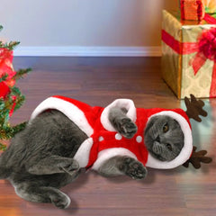 Christmas Pet Santa Costume